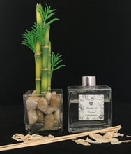 Load image into Gallery viewer, Bamboo &amp; Coconut Reed Diffuser